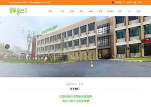 合肥网站定制开发与专业APP开发制作——合肥海风信息科技助力企业数字化转型