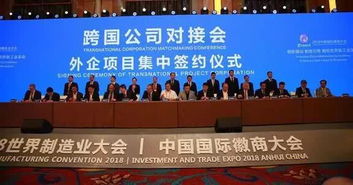 合肥“西边小深圳”崛起 企业网站建设热潮背后的创新动力