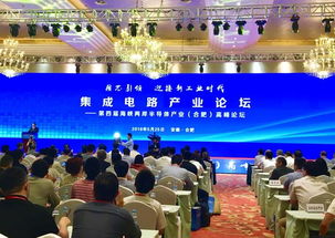 集成电路产业在合肥 专家智囊团成立，企业数字化建设迎新机遇